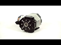 Actionneurs électriques subminiatures DCL